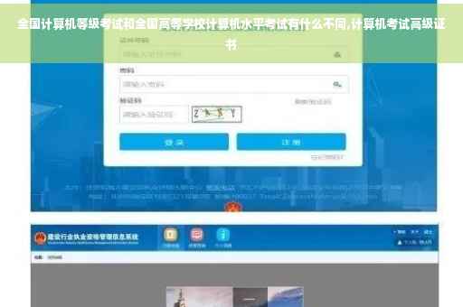 全国计算机等级考试和全国高等学校计算机水平考试有什么不同,计算机考试高级证书