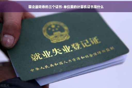 国企最吃香的三个证书-单位要的计算机证书是什么