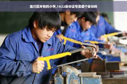 临川区所有的小学,1022身份证号是哪个省份的