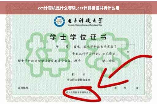 cct计算机是什么等级,cct计算机证书有什么用