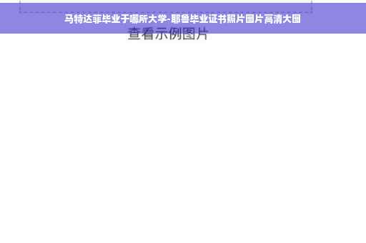 马特达菲毕业于哪所大学-耶鲁毕业证书照片图片高清大图