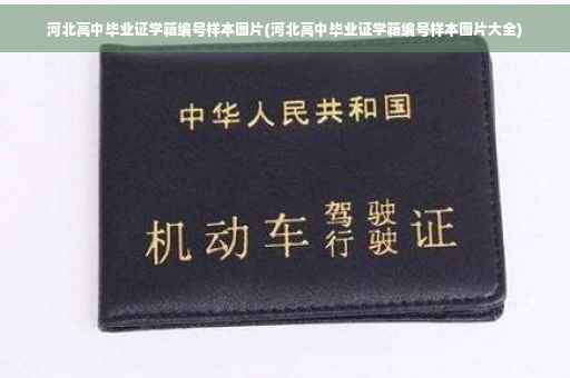 河北高中毕业证学籍编号样本图片(河北高中毕业证学籍编号样本图片大全)
