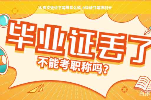 大专文凭证书等级怎么填,B级证书等级划分