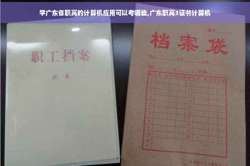 学广东省职高的计算机应用可以考哪些,广东职高3证书计算机 学广东省职高的计算机应用可以考哪些,广东职高3证书计算机