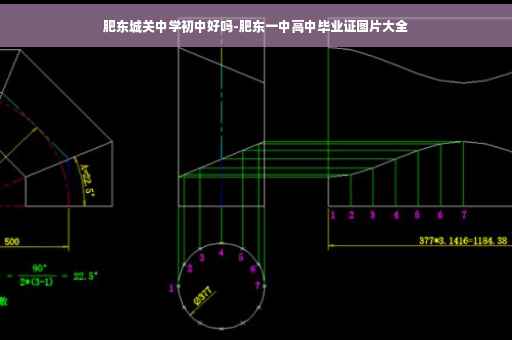 肥东城关中学初中好吗-肥东一中高中毕业证图片大全