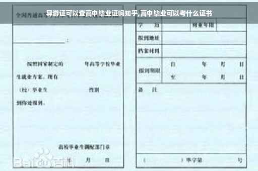 导游证可以查高中毕业证吗知乎,高中毕业可以考什么证书