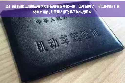 急！请问我的上海市高等学校计算机等级考试一级，证书遗失了，可以补办吗？具体怎么操作,儿童无人机飞丢了怎么找回来