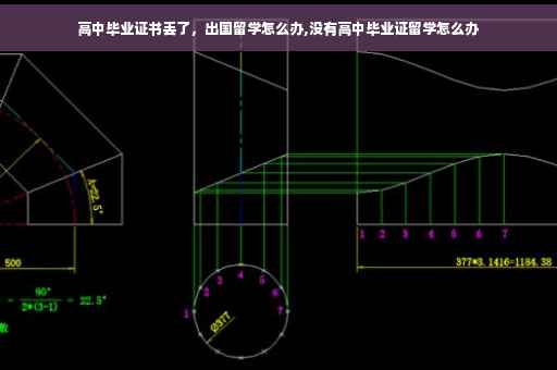高中毕业证书丢了，出国留学怎么办,没有高中毕业证留学怎么办
