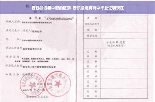 普智融通和中职的区别-普职融通有高中毕业证嘛现在