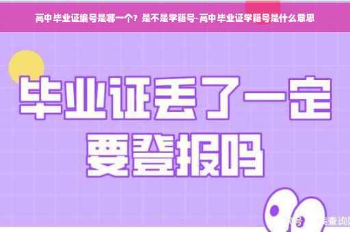 高中毕业证编号是哪一个？是不是学籍号-高中毕业证学籍号是什么意思