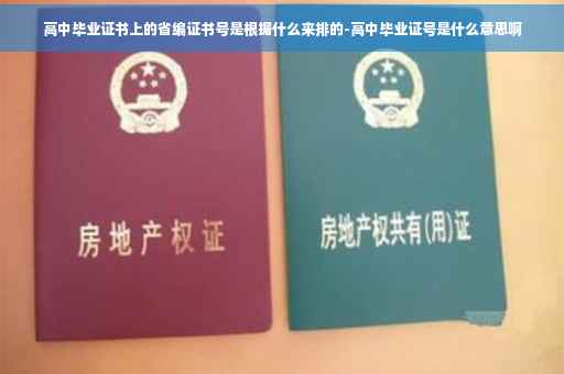 高中毕业证书上的省编证书号是根据什么来排的-高中毕业证号是什么意思啊