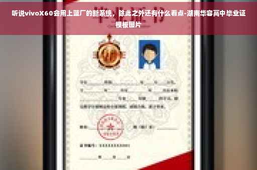 听说vivoX60会用上蓝厂的新系统，除此之外还有什么看点-湖南华容高中毕业证模板图片
