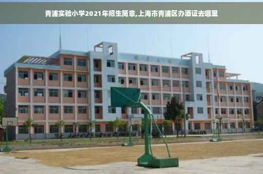 青浦实验小学2021年招生简章,上海市青浦区办酒证去哪里