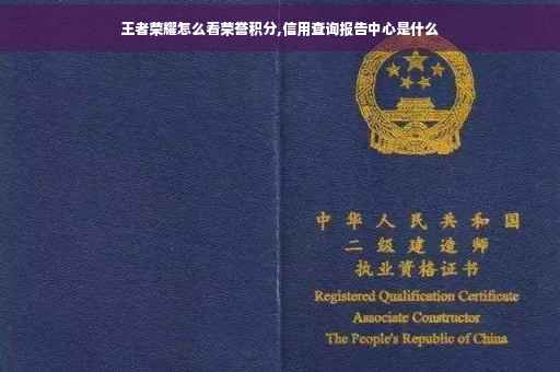 王者荣耀怎么看荣誉积分,信用查询报告中心是什么
