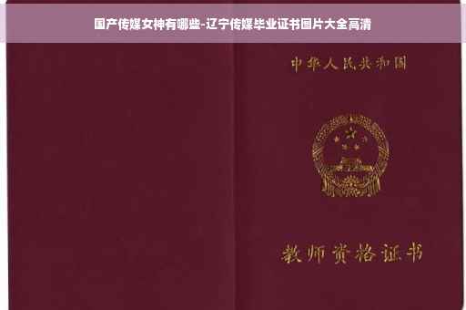 国产传媒女神有哪些-辽宁传媒毕业证书图片大全高清