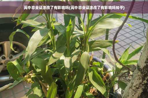 高中毕业证涂改了有影响吗(高中毕业证涂改了有影响吗知乎)