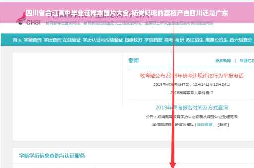 四川省合江高中毕业证样本图片大全,杨贵妃吃的荔枝产自四川还是广东