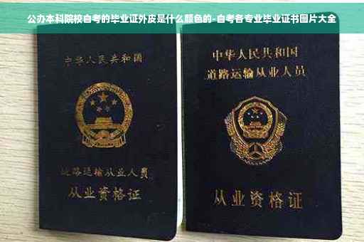 公办本科院校自考的毕业证外皮是什么颜色的-自考各专业毕业证书图片大全