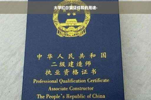 大学红白蓝证件照的用途-