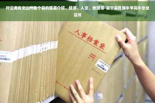 对云南省文山州各个县的简要介绍，经济、人文、地理等-富宁县民族中学高中毕业证书