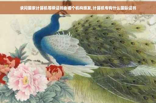 求问国家计算机等级证书由哪个机构颁发,计算机专有什么国际证书