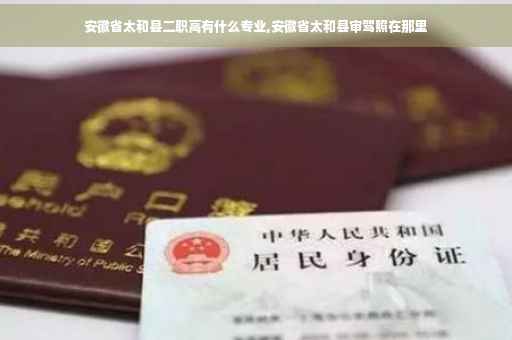 安徽省太和县二职高有什么专业,安徽省太和县审驾照在那里