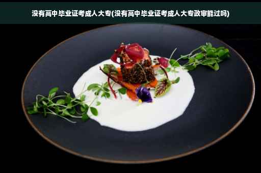 没有高中毕业证考成人大专(没有高中毕业证考成人大专政审能过吗)