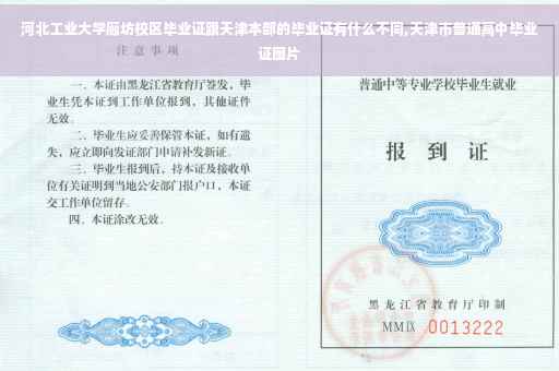 河北工业大学廊坊校区毕业证跟天津本部的毕业证有什么不同,天津市普通高中毕业证图片