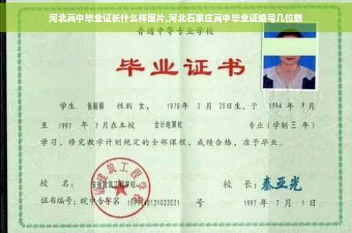 河北高中毕业证长什么样图片,河北石家庄高中毕业证编号几位数