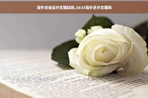 高中毕业证分文理科吗,2023高中还分文理吗