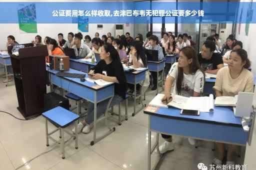 公证费用怎么样收取,去津巴布韦无犯罪公证要多少钱