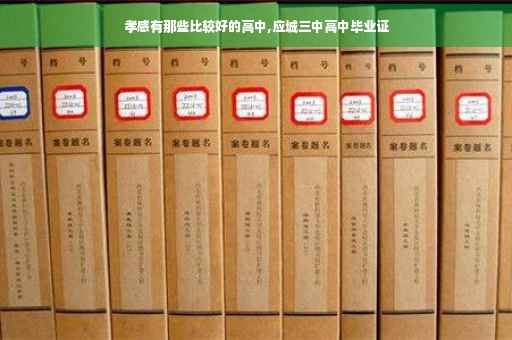 孝感有那些比较好的高中,应城三中高中毕业证