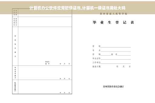 计算机办公软件应用初级证书,计算机一级证书用处大吗