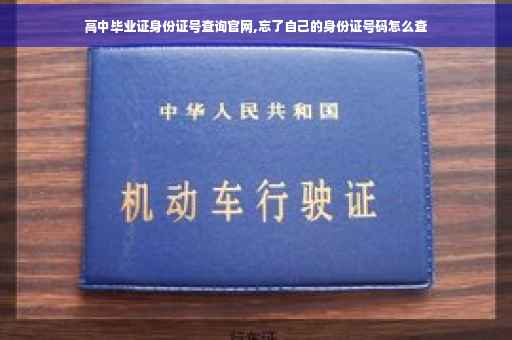 高中毕业证身份证号查询官网,忘了自己的身份证号码怎么查