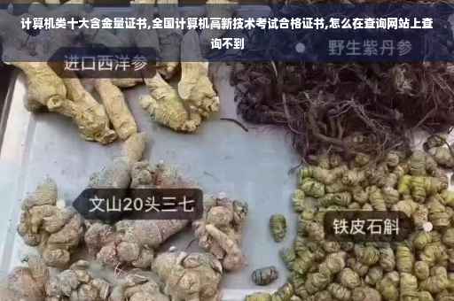计算机类十大含金量证书,全国计算机高新技术考试合格证书,怎么在查询网站上查询不到 计算机类十大含金量证书,全国计算机高新技术考试合格证书,怎么在查询网站上查询不到