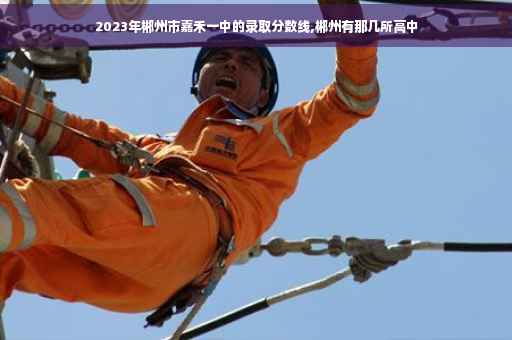 2023年郴州市嘉禾一中的录取分数线,郴州有那几所高中