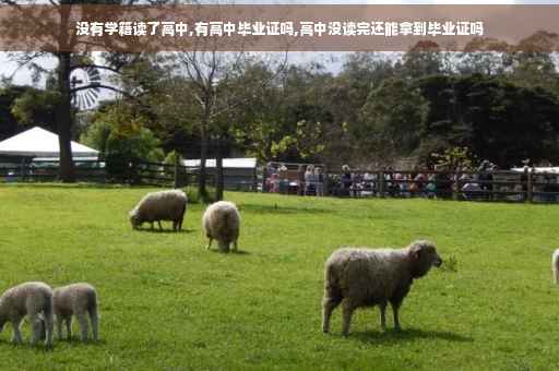 没有学籍读了高中,有高中毕业证吗,高中没读完还能拿到毕业证吗