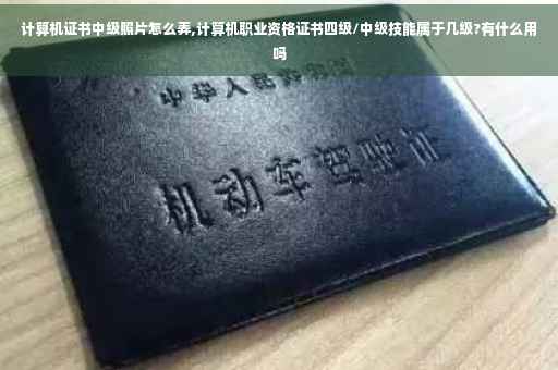 计算机证书中级照片怎么弄,计算机职业资格证书四级/中级技能属于几级?有什么用吗