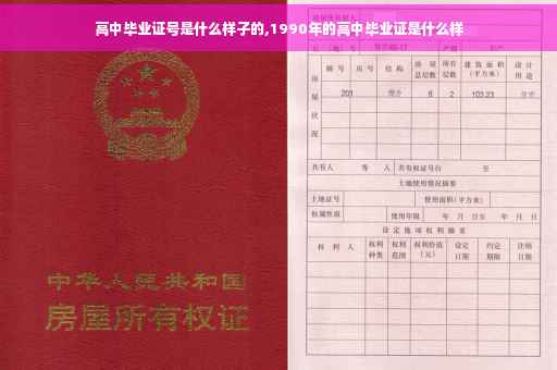 高中毕业证号是什么样子的,1990年的高中毕业证是什么样