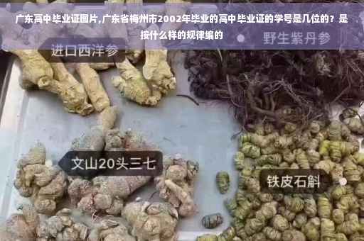 广东高中毕业证图片,广东省梅州市2002年毕业的高中毕业证的学号是几位的？是按什么样的规律编的