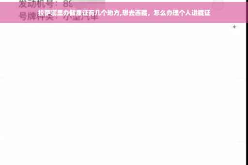 拉萨哪里办健康证有几个地方,想去西藏，怎么办理个人进藏证