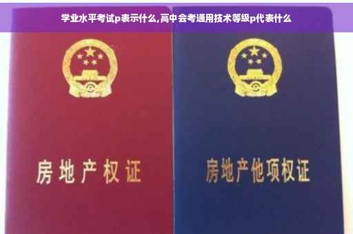 学业水平考试p表示什么,高中会考通用技术等级p代表什么