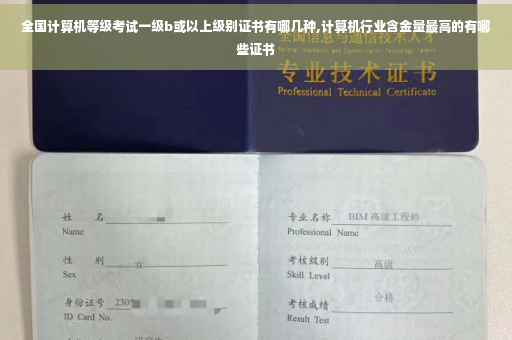 全国计算机等级考试一级b或以上级别证书有哪几种,计算机行业含金量最高的有哪些证书