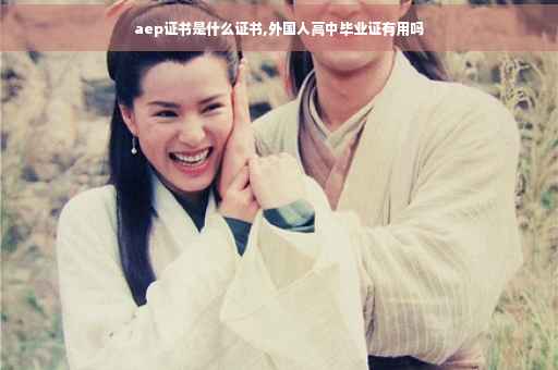 aep证书是什么证书,外国人高中毕业证有用吗
