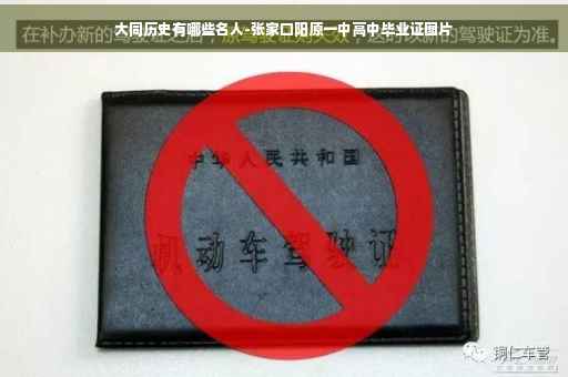 大同历史有哪些名人-张家口阳原一中高中毕业证图片