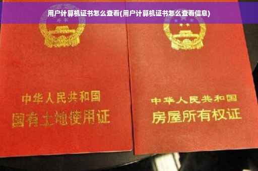 用户计算机证书怎么查看(用户计算机证书怎么查看信息)
