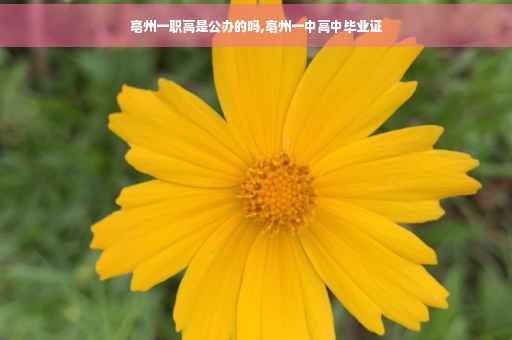 亳州一职高是公办的吗,亳州一中高中毕业证