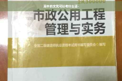 高中的文凭可以考什么证-