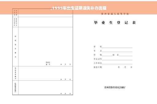 ,1995年出生证明遗失补办流程