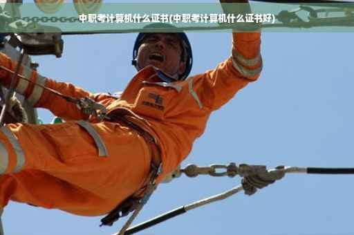 中职考计算机什么证书(中职考计算机什么证书好)